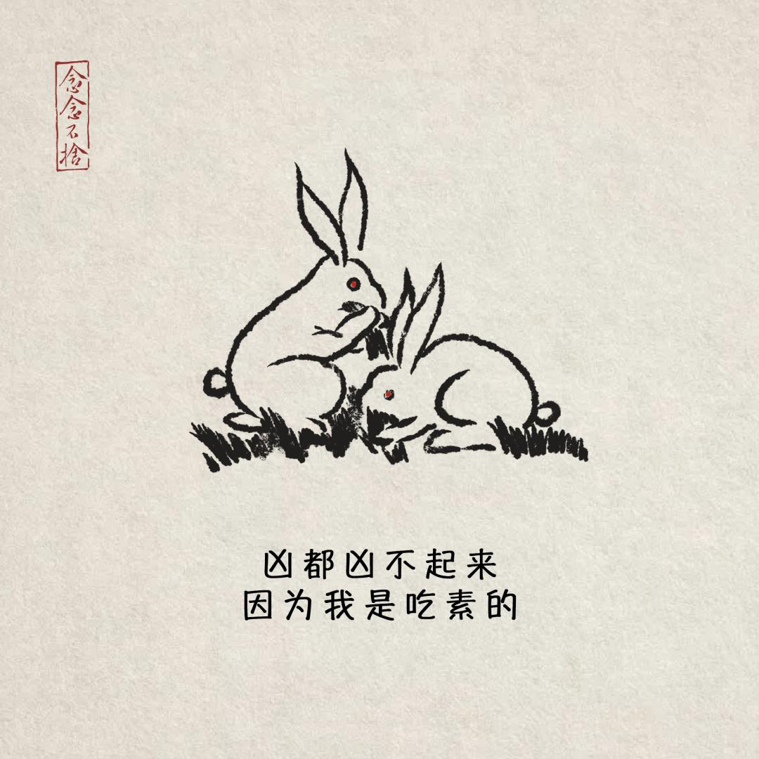 不了我今天吃素打一正确生肖请全面2释义、解释与落实、科学解答解释落实