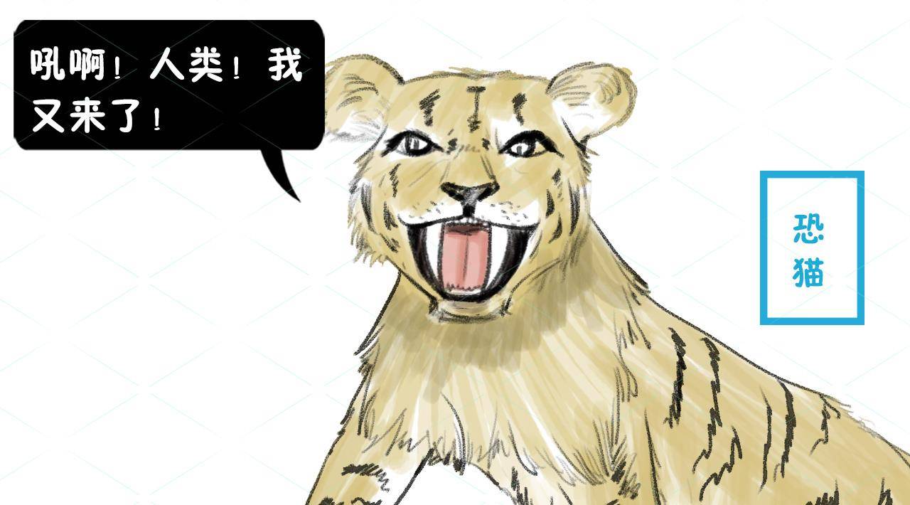 欲钱买人类的祖先是什么生肖的警惕虚假宣传-全面释义、解释与落实、定量解答解释落实